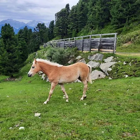 Frühstückspension Haus Gertraud 3*