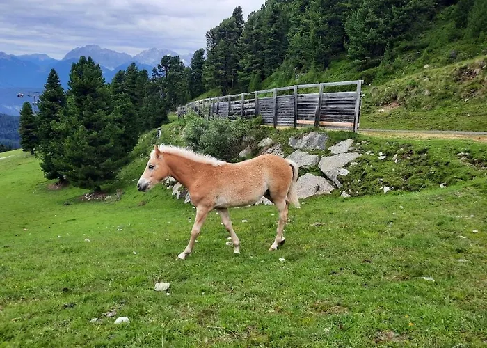 B&B Haus Gertraud 3*
